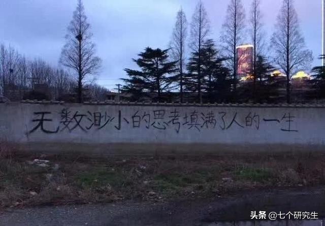 来自农村的我，因为一张985的学位证，24岁就过上了小日子