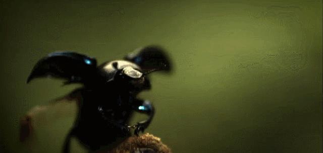 只要19.9元!3000+昆虫萌宠来袭!首届昆虫萌宠主题沉浸展空降武汉