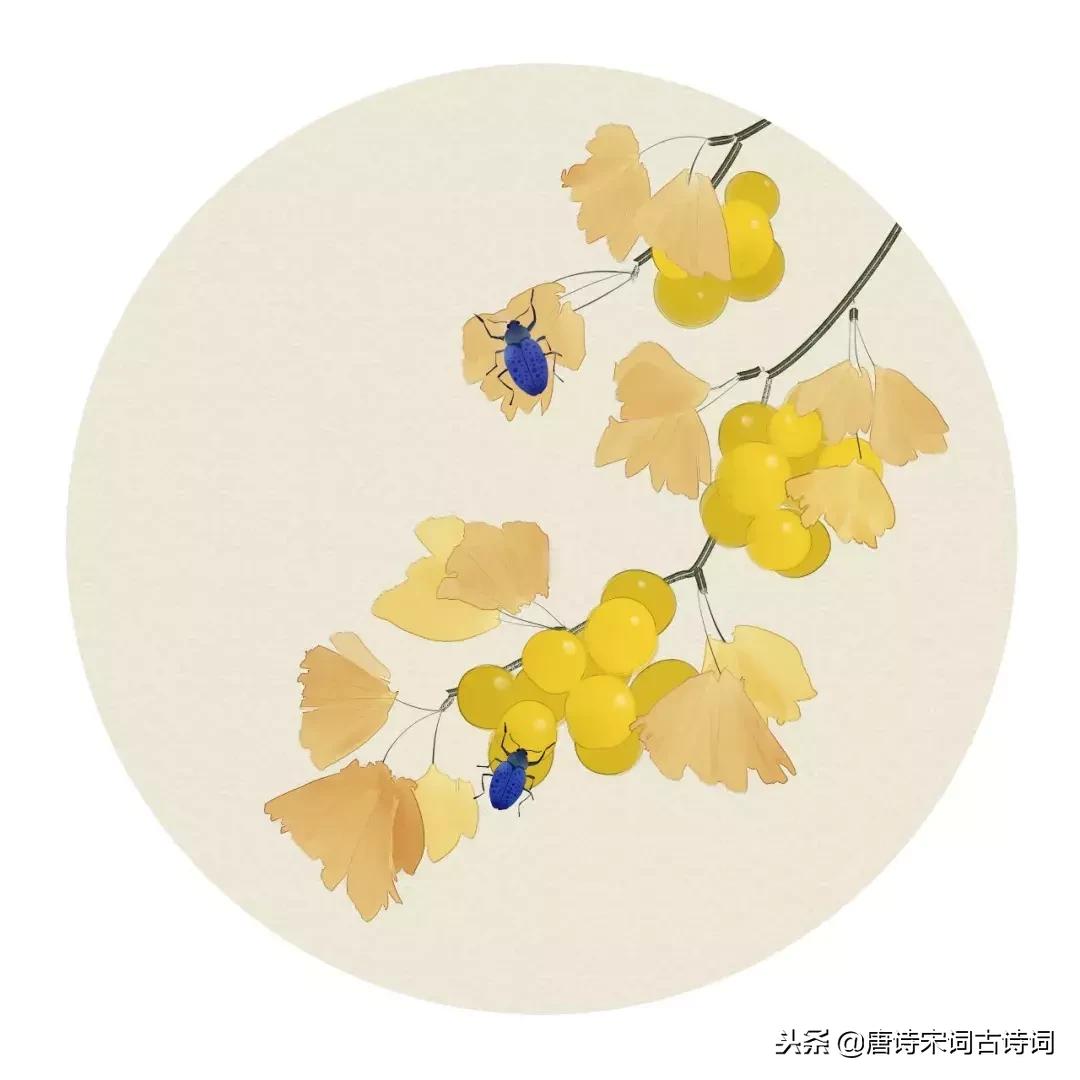 经典虞美人十首,最美虞美人十首