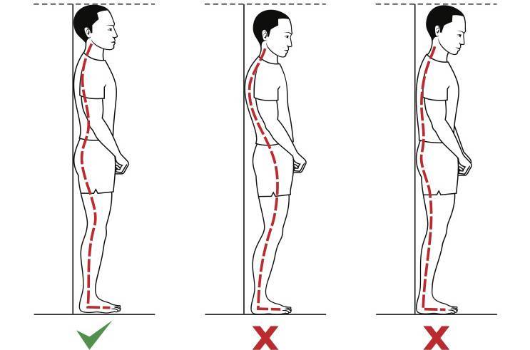 脊柱保持中立位是什么意思,脊柱中立位的标准动作