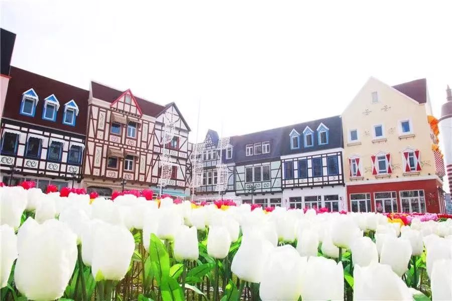 去哪里能买到心仪的进口产品?来平湖感受“买全球”