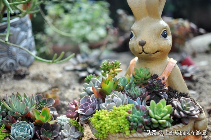 南通狼山一日游详细攻略图,夏天南通狼山一日游详细攻略