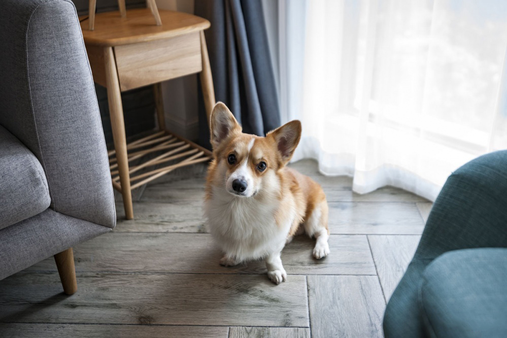 木纹砖好看又耐脏的效果图,木纹砖漂亮