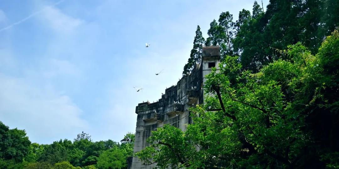 谁动了我的奶酪洛阳店,谁动了我的奶酪店