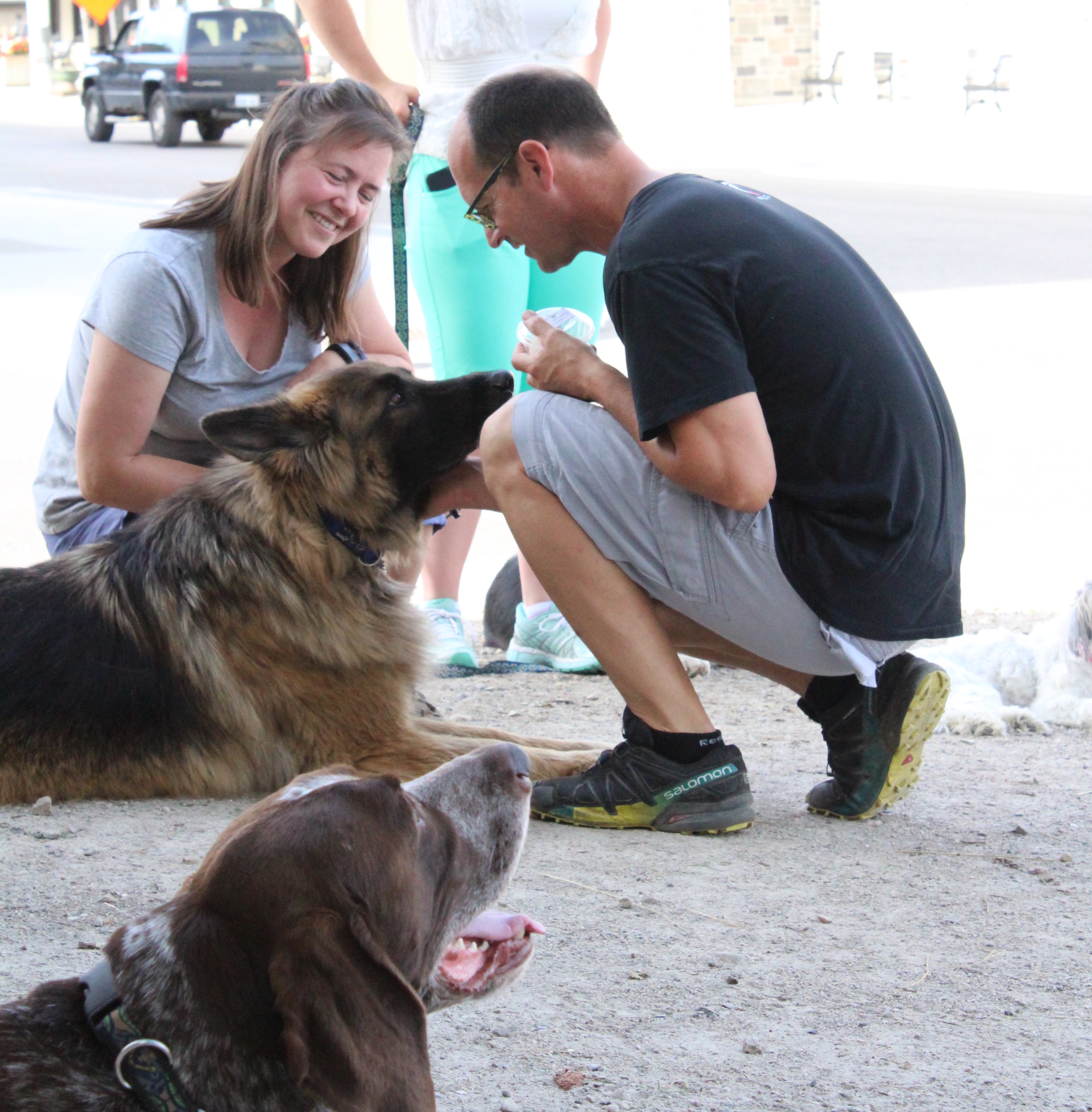 抚摸狗狗真的可以降血压吗,用手摸了狗以后吃东西会不会生病