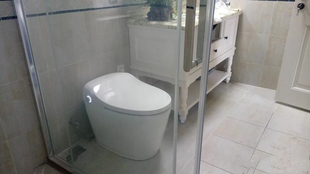 “过来人”告诉你,选择“智能马桶”应该注意哪些问题