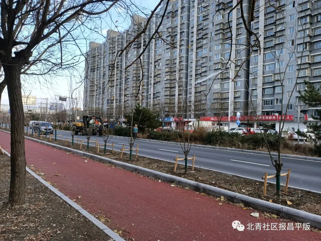 温暖、贴心、便利,初冬时节沙河高教园的新标签