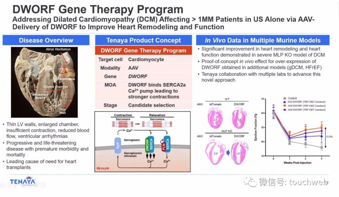 基因疗法相关上市公司,tenaris公司