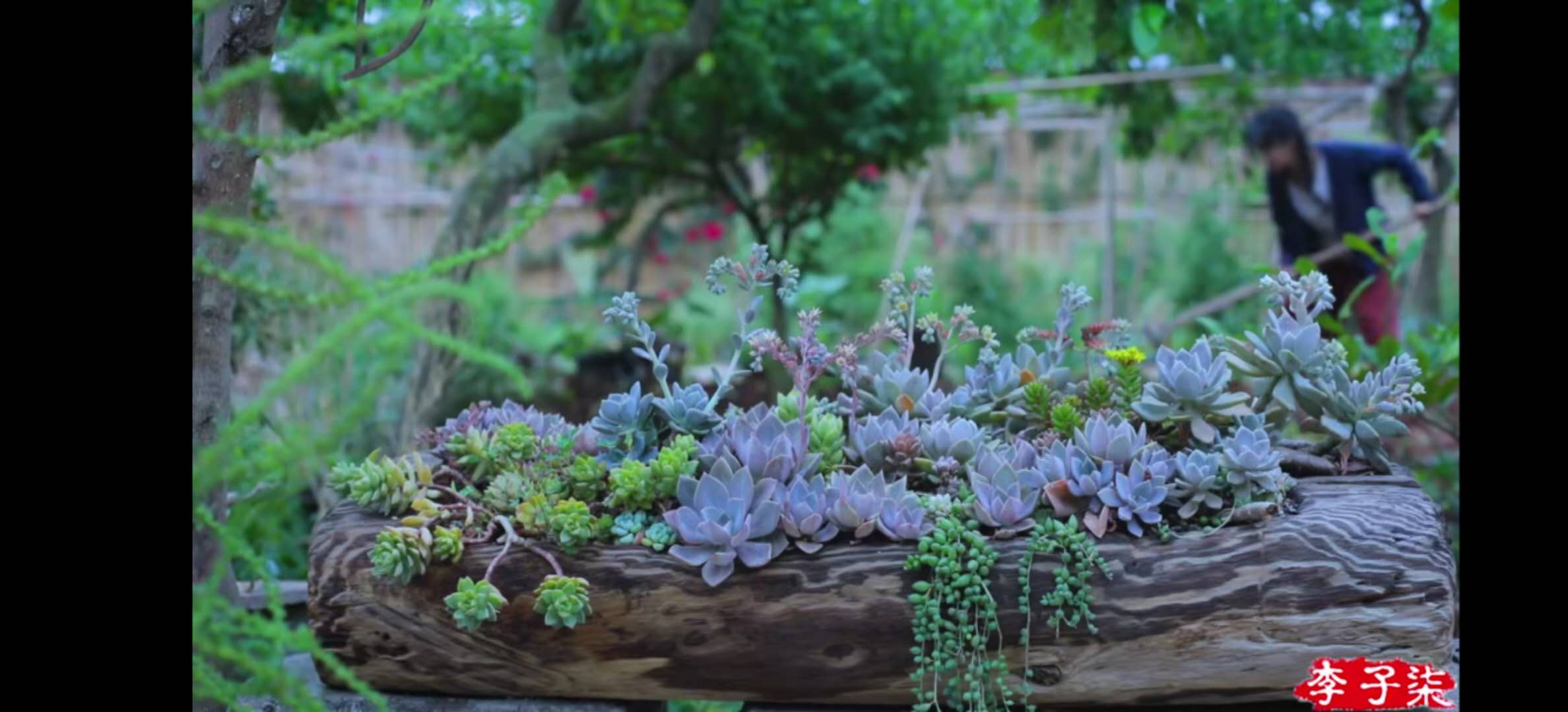 凭什么李子柒的土豆能上热搜？看了十遍视频后，我终于有了答案