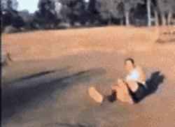 袋鼠和人打架视频,袋鼠为什么喜欢和狗狗打架