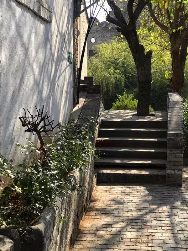 袁家村营业额过百亿,袁家村2020收入多少亿