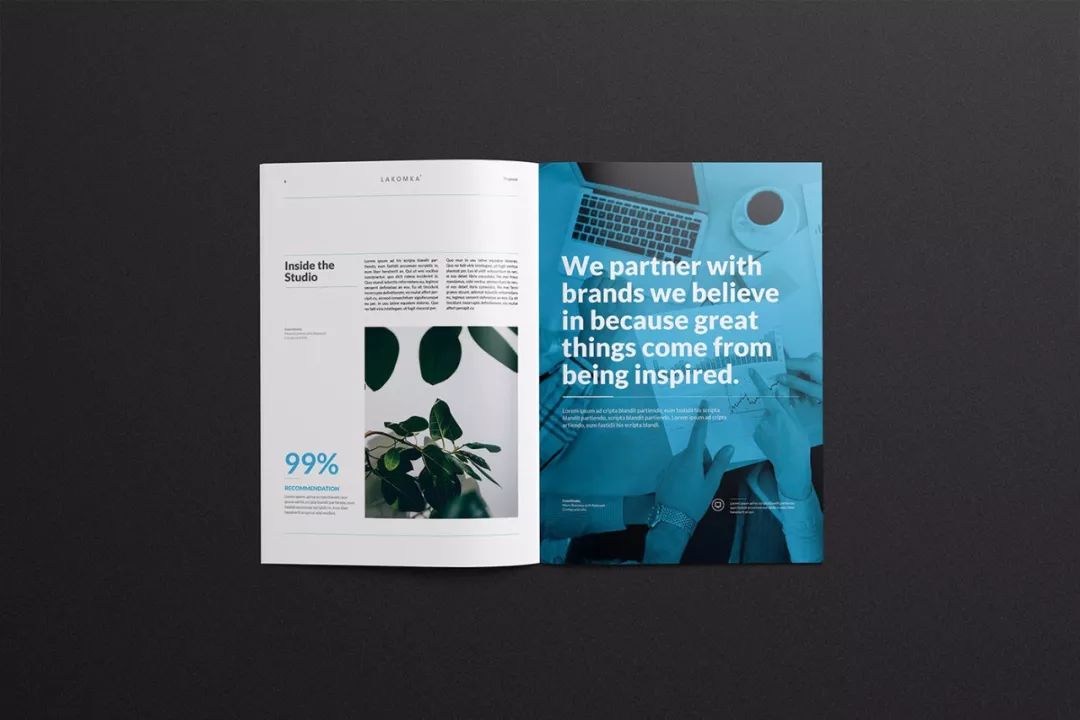 精美企业宣传册,公司宣传册画册设计