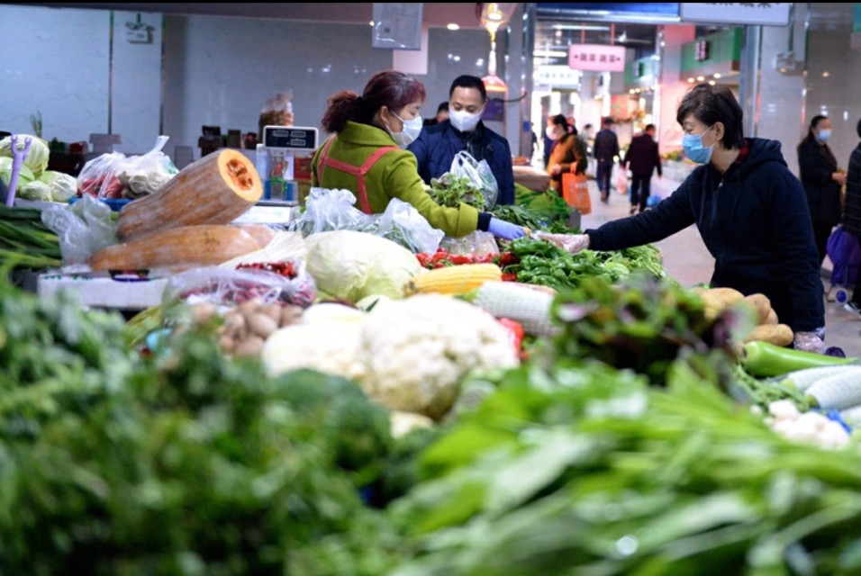 疫情不能出门就在家种菜,疫情不出门可以出门买菜吗