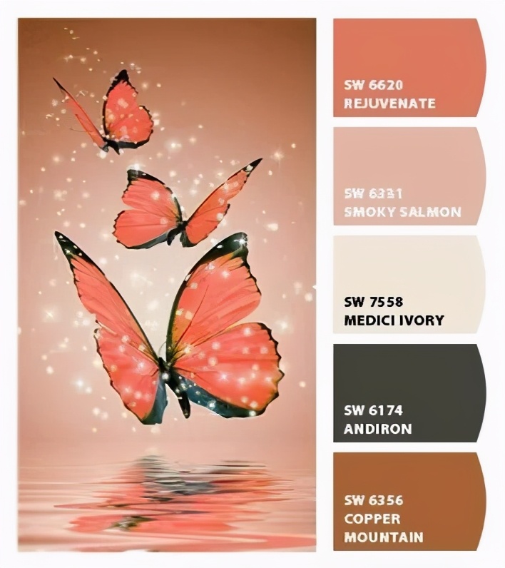 动物配色大全视频,配色的设计灵感