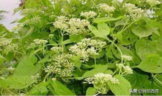 全民国家安全教育日的感受和看法,全民国家安全教育日筑牢国家安全