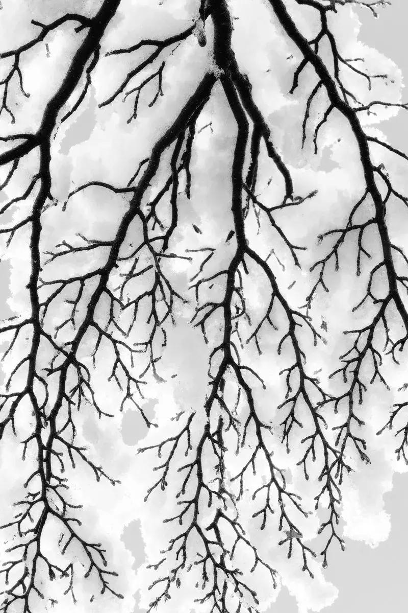 冰雪拍摄技巧和注意事项,冰天雪地雪景摄影技巧大全