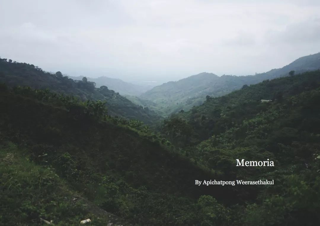 100部公认最好看的电影,100部最好电影