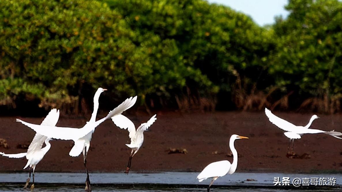 海南屯昌十大旅游景点,海南省屯昌县旅游景点介绍
