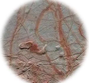 人为什么而生,人为何因死亡而出生