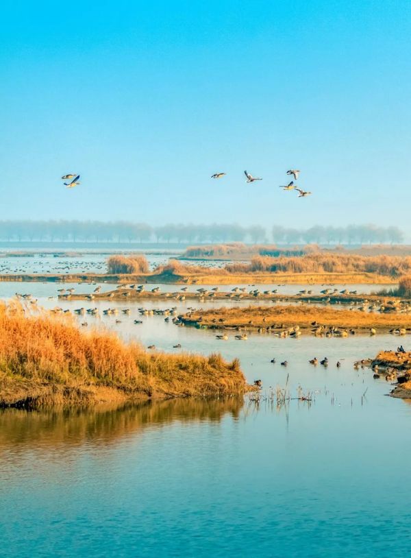 什么是武汉星球研究所,什么是武汉