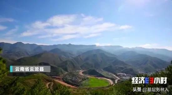 云南核桃批发价是多少钱一斤,云南的核桃价格多少一斤