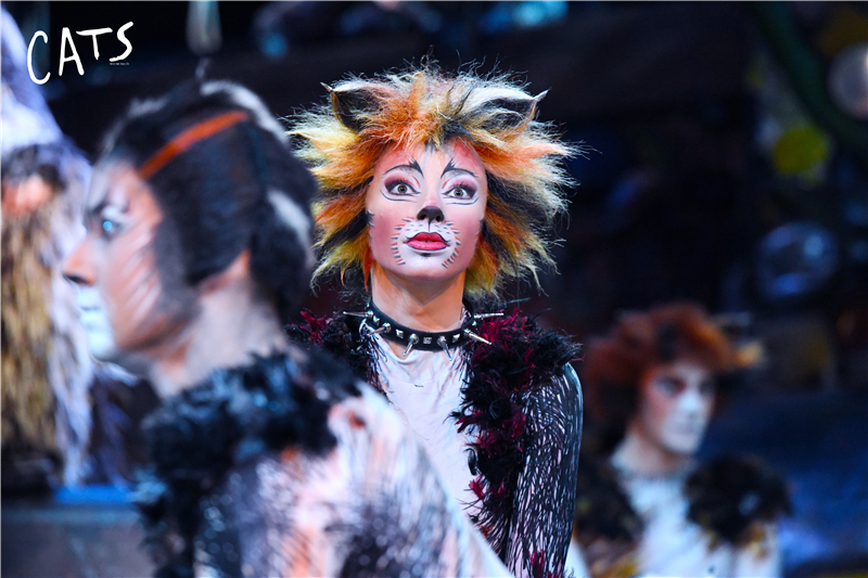 天津大剧院音乐剧演出,天津音乐剧2020