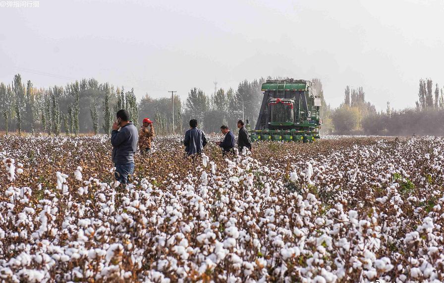 HM*制抵***疆新**棉花：明明那么普通，哪来的自信？