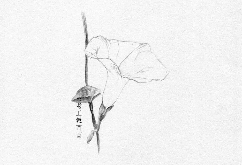 小白学习素描需要准备什么,小白学素描入门教程