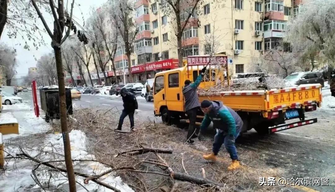 停课通知最新通告哈尔滨,停课通知最新通告黑龙江