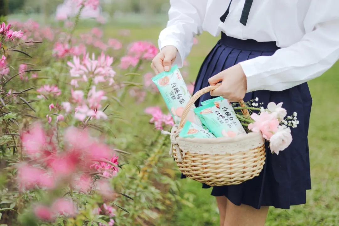 明治白桃乌龙雪糕盒装多少钱,明治雪糕最新款