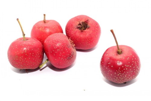 孕妇不能吃的食品添加剂,都不知道孕妇吃什么有营养的东西