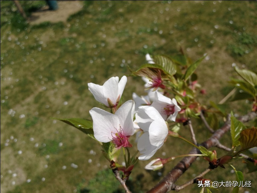 小儿湿疹严重有没有好办法,小儿湿疹需要注意什么