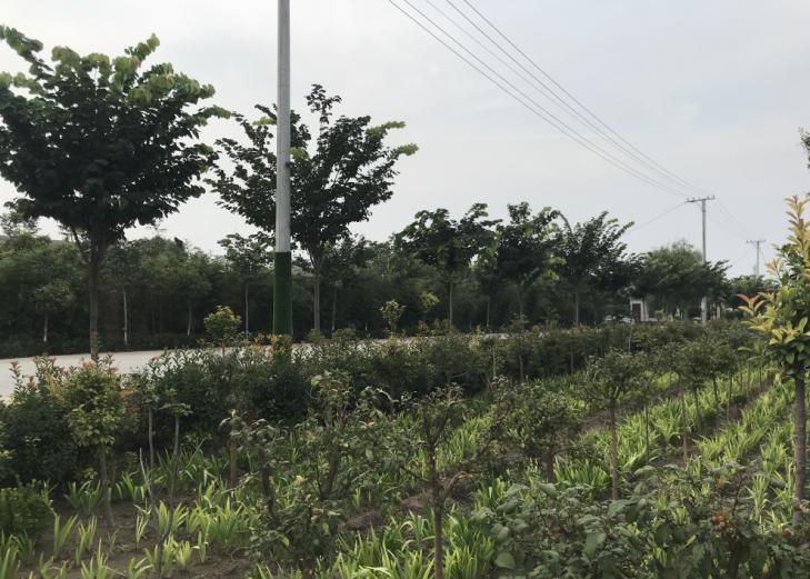 缇庝附涔℃剚缁垮寲缇庡寲,缇庝附涔℃剚涔℃潙缁垮寲瑙嗛