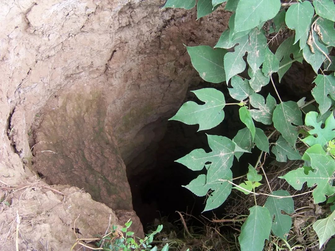 午夜时分，西安长安区一村子的古墓里突然发出一声巨响！而墓主人竟然是唐玄宗曾经最宠爱的女人，不是杨玉环