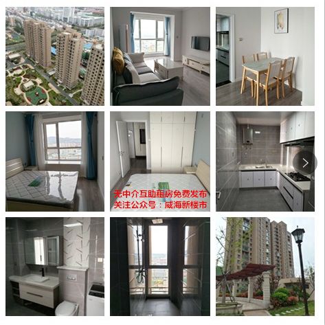 山东威海互助平台,威海租房网个人直租