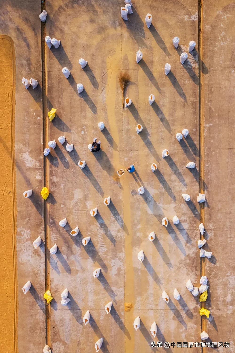 中国种水稻的省份地图,14亿大米图片