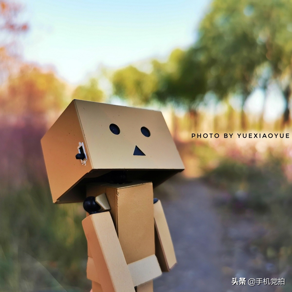 生活小妙招手机摄影,生活小妙招如何拍出爆款