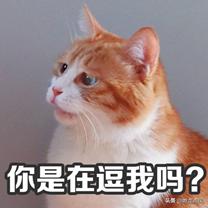 燃龙点凤节日:说说愚人节——万愚之乐在何处?