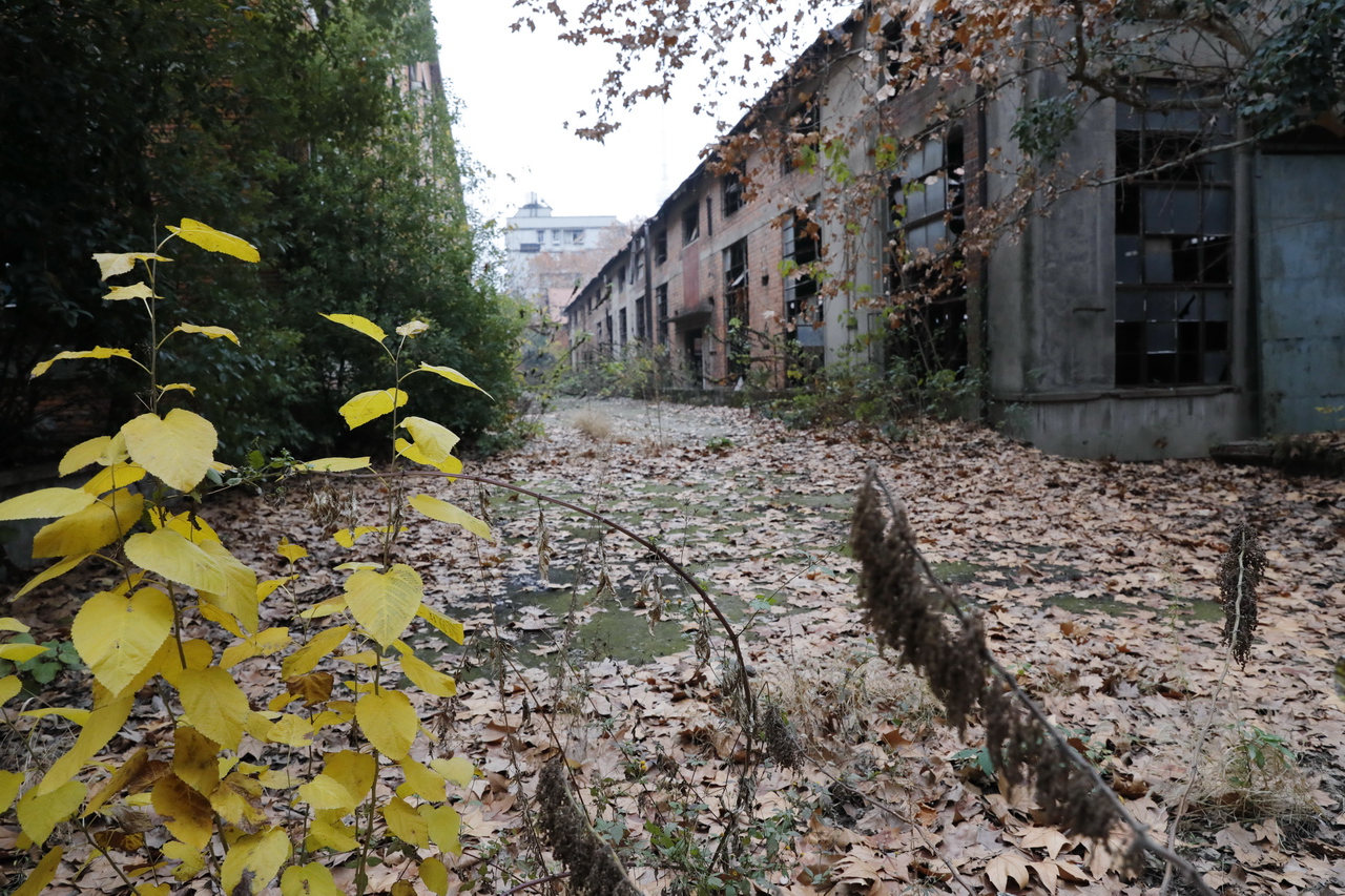 武汉轻型汽车制造厂,武汉特种车制造厂