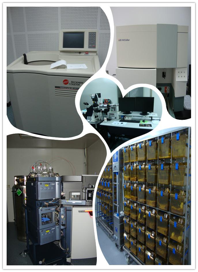 大连海事大学环境工程,大连海事大学环境学院