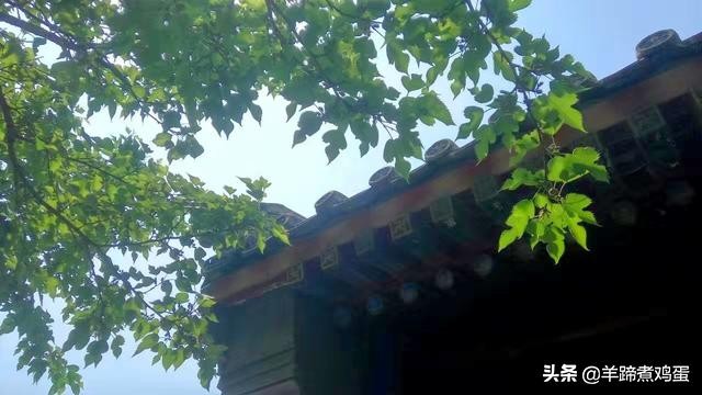 游玩北京香山公园之行,7月的北京香山公园图片