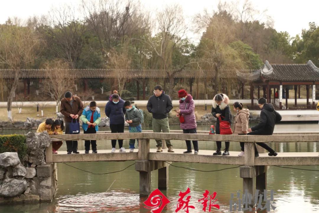 苏州旅游必打卡的10个景点,苏州适合周末放松的景区