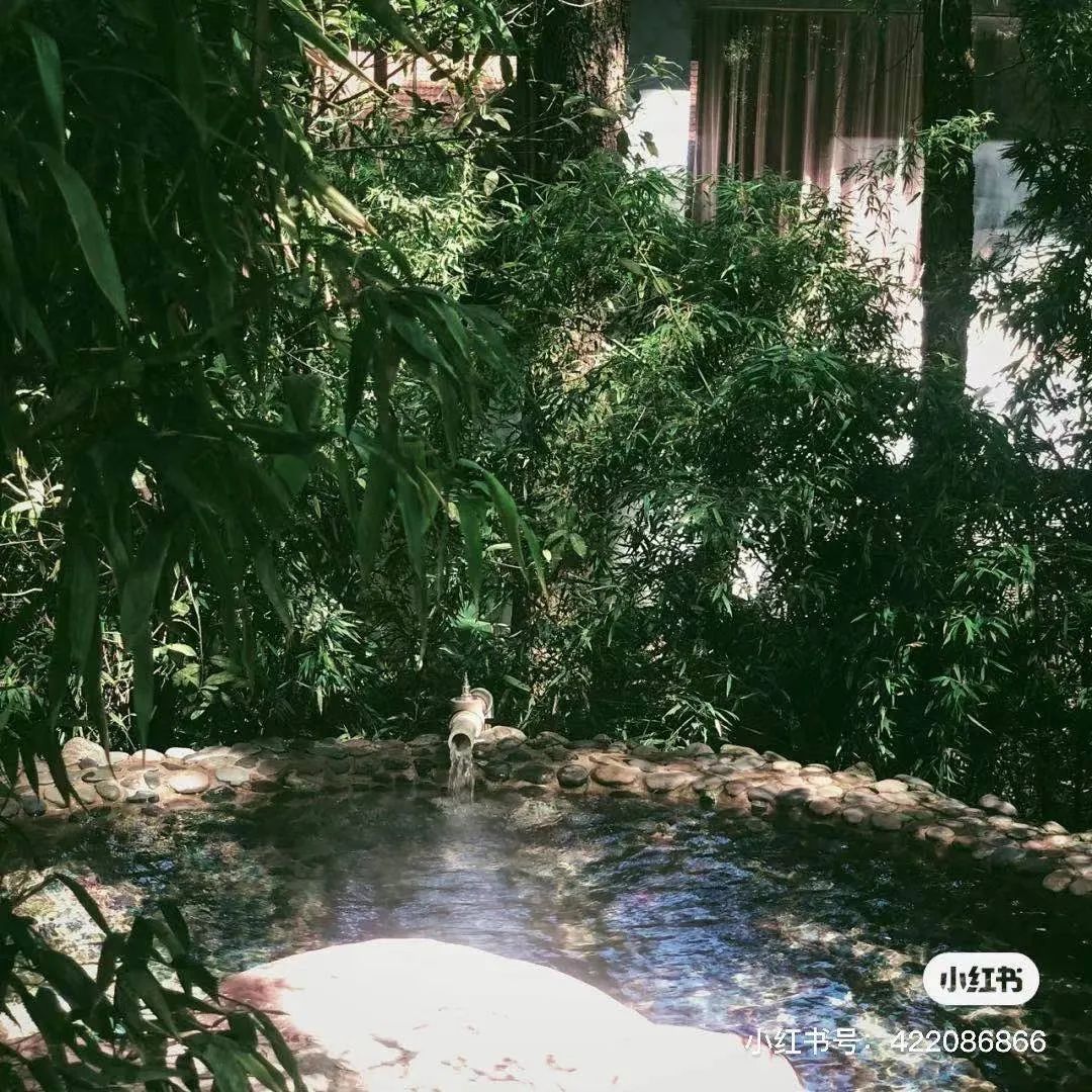 昆明避暑冷惨了外省人,昆明过冬真实感受