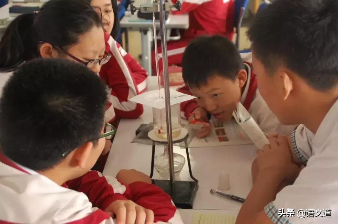 大连市甘井子区汇文中学,大连甘井子区汇文中学的学区分配