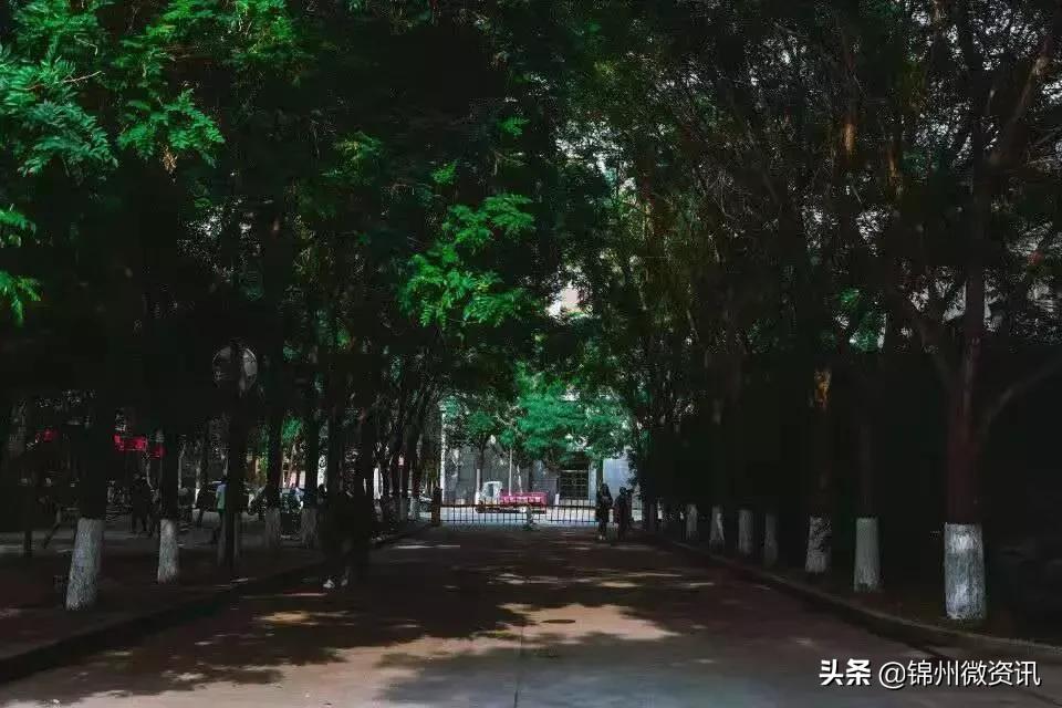锦州渤海大学！全国最美大学之一！新入学的同学想知道的都在这里