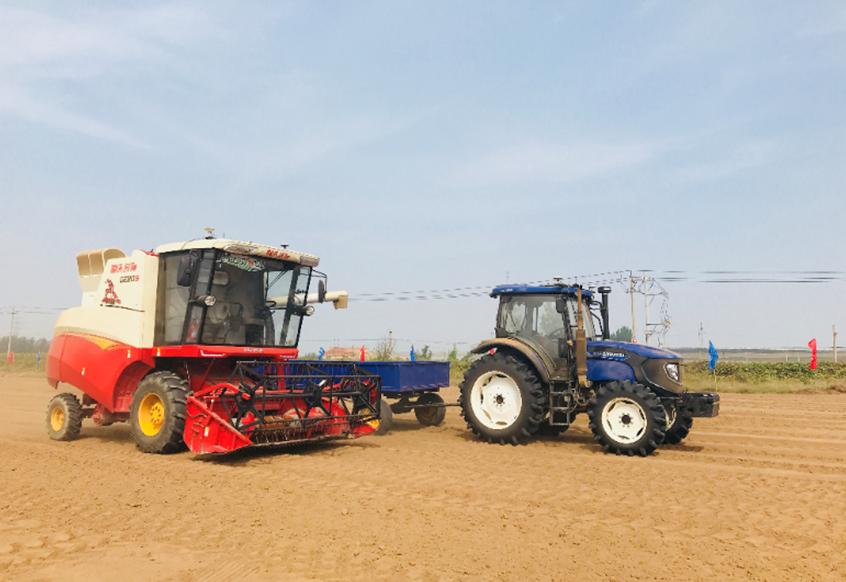 全面建成小康社会的伟大成就,全面建成小康社会政府的付出