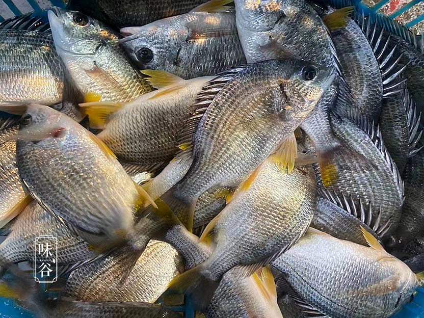什么鱼鱼刺少又好吃还便宜,鱼刺少什么鱼最好吃