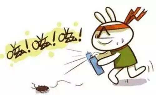 爱国卫生除四害宣传小知识,爱国卫生基本常识之除四害