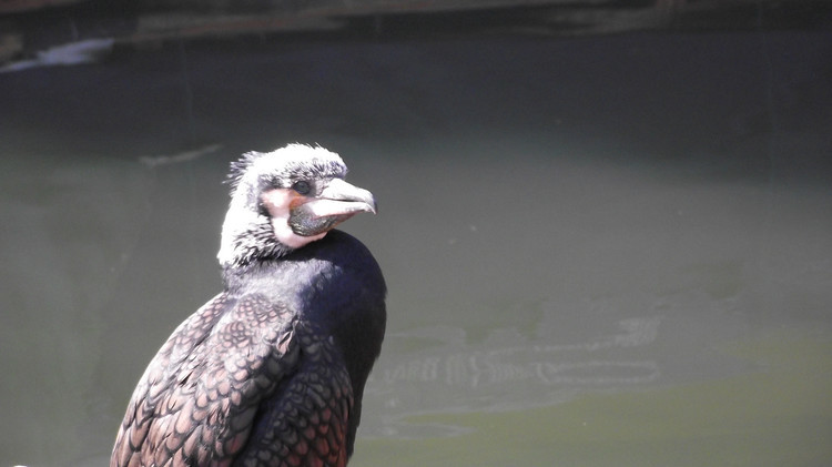 你同情KTV的小姐吗？也许你错了……