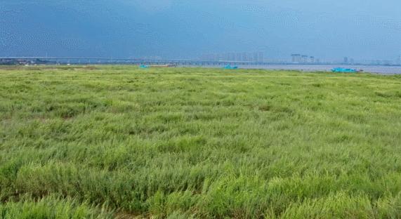 青岛国家海洋公园免费,海洋公园青岛最新